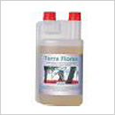Canna Terra Flores Canna Terra Flores