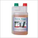 Canna Terra Vega