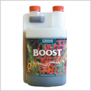 Canna Boost Accelerator