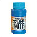 Nite Nite Spider Mite Nite Nite Spider Mite